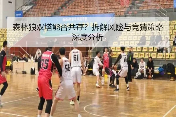 森林狼双塔能否共存？拆解风险与竞猜策略深度分析